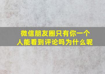 微信朋友圈只有你一个人能看到评论吗为什么呢