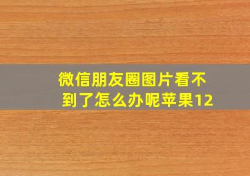 微信朋友圈图片看不到了怎么办呢苹果12