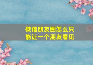 微信朋友圈怎么只能让一个朋友看见