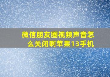 微信朋友圈视频声音怎么关闭啊苹果13手机