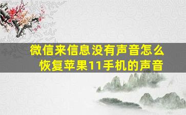 微信来信息没有声音怎么恢复苹果11手机的声音