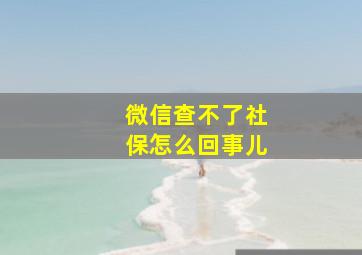 微信查不了社保怎么回事儿