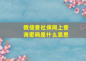 微信查社保网上查询密码是什么意思