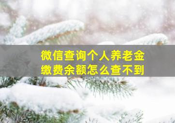 微信查询个人养老金缴费余额怎么查不到