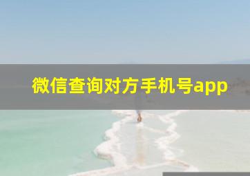 微信查询对方手机号app