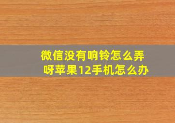 微信没有响铃怎么弄呀苹果12手机怎么办