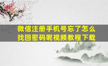 微信注册手机号忘了怎么找回密码呢视频教程下载