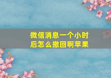 微信消息一个小时后怎么撤回啊苹果