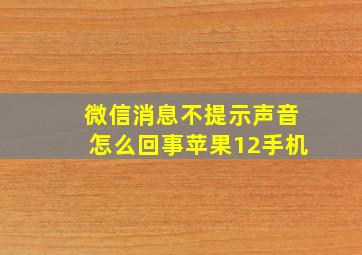 微信消息不提示声音怎么回事苹果12手机