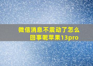 微信消息不震动了怎么回事呢苹果13pro