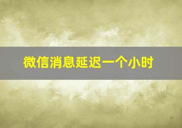 微信消息延迟一个小时