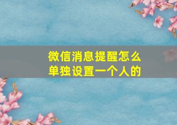 微信消息提醒怎么单独设置一个人的