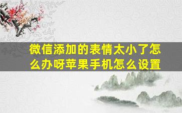 微信添加的表情太小了怎么办呀苹果手机怎么设置