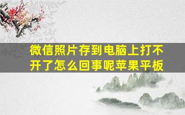 微信照片存到电脑上打不开了怎么回事呢苹果平板