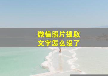 微信照片提取文字怎么没了