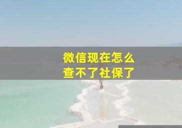 微信现在怎么查不了社保了