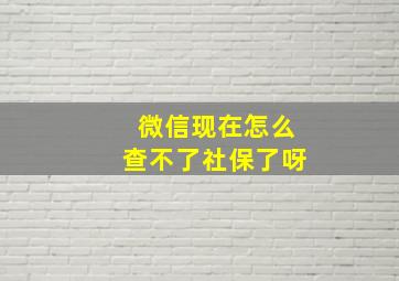 微信现在怎么查不了社保了呀