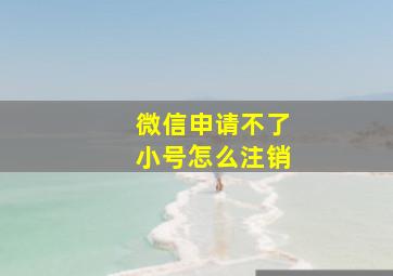 微信申请不了小号怎么注销