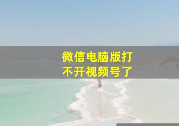 微信电脑版打不开视频号了