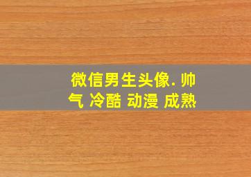 微信男生头像. 帅气 冷酷 动漫 成熟