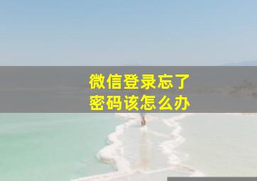 微信登录忘了密码该怎么办