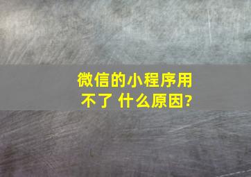 微信的小程序用不了 什么原因?