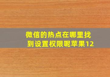 微信的热点在哪里找到设置权限呢苹果12