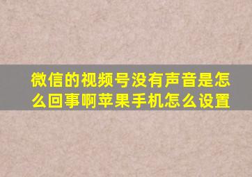 微信的视频号没有声音是怎么回事啊苹果手机怎么设置