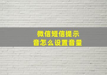 微信短信提示音怎么设置音量