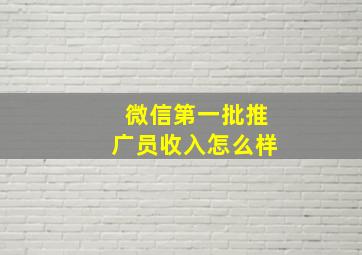 微信第一批推广员收入怎么样