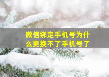 微信绑定手机号为什么更换不了手机号了