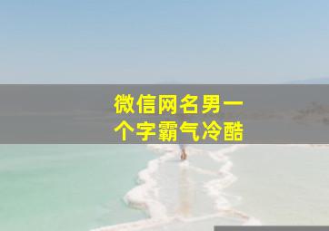 微信网名男一个字霸气冷酷