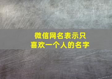 微信网名表示只喜欢一个人的名字