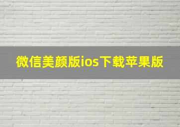 微信美颜版ios下载苹果版