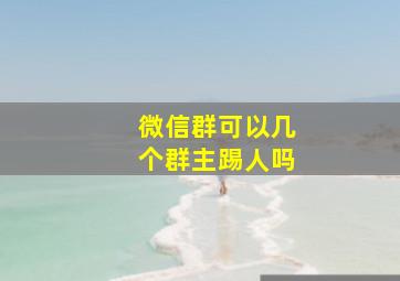 微信群可以几个群主踢人吗