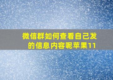 微信群如何查看自己发的信息内容呢苹果11