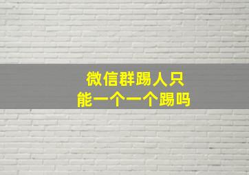 微信群踢人只能一个一个踢吗