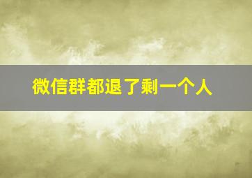 微信群都退了剩一个人