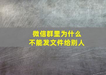 微信群里为什么不能发文件给别人