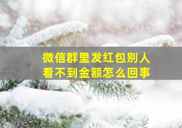 微信群里发红包别人看不到金额怎么回事