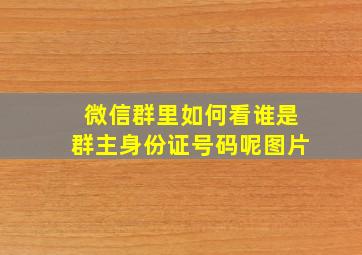 微信群里如何看谁是群主身份证号码呢图片