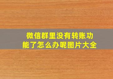 微信群里没有转账功能了怎么办呢图片大全