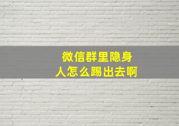 微信群里隐身人怎么踢出去啊