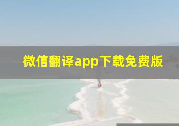 微信翻译app下载免费版