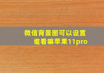 微信背景图可以设置谁看嘛苹果11pro