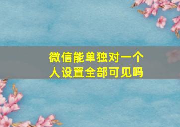 微信能单独对一个人设置全部可见吗