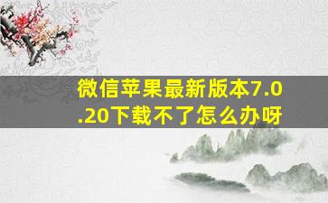 微信苹果最新版本7.0.20下载不了怎么办呀