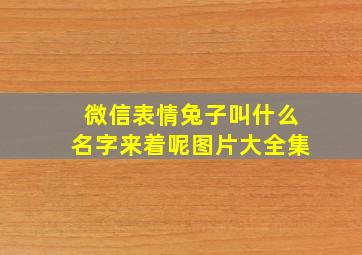 微信表情兔子叫什么名字来着呢图片大全集