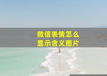 微信表情怎么显示含义图片