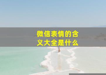 微信表情的含义大全是什么